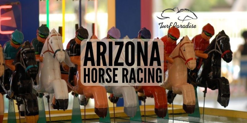 Things to note when participating in horse racing games